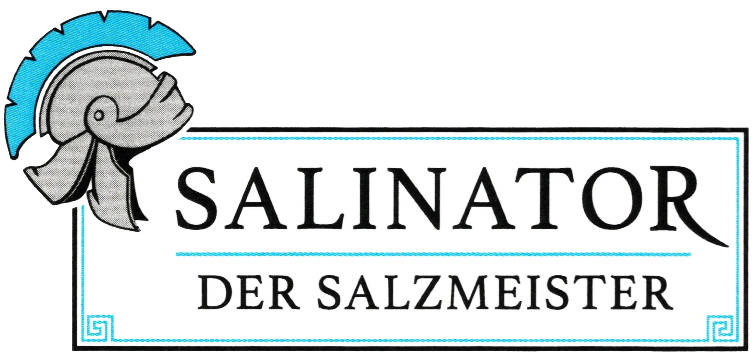 Logo Salinator Helm